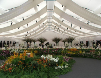 European Marquee